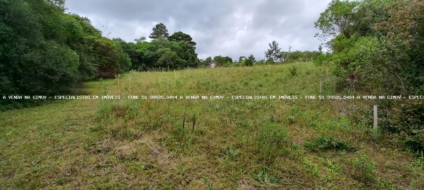 Sítio, 3 quartos, 3 m² - Foto 11