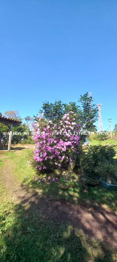 Sítio, 3 quartos, 3 m² - Foto 22