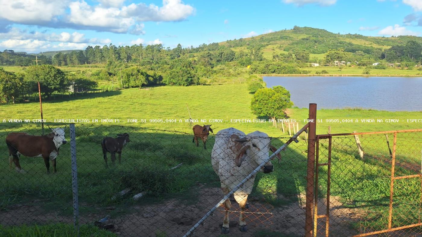 Sítio, 2 quartos, 1 hectares - Foto 1