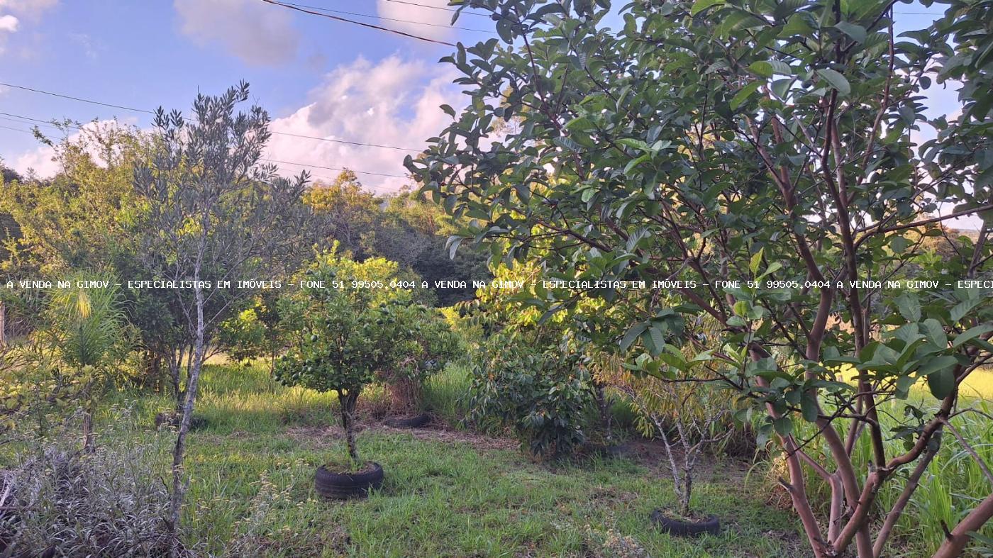 Sítio, 2 quartos, 1 hectares - Foto 12