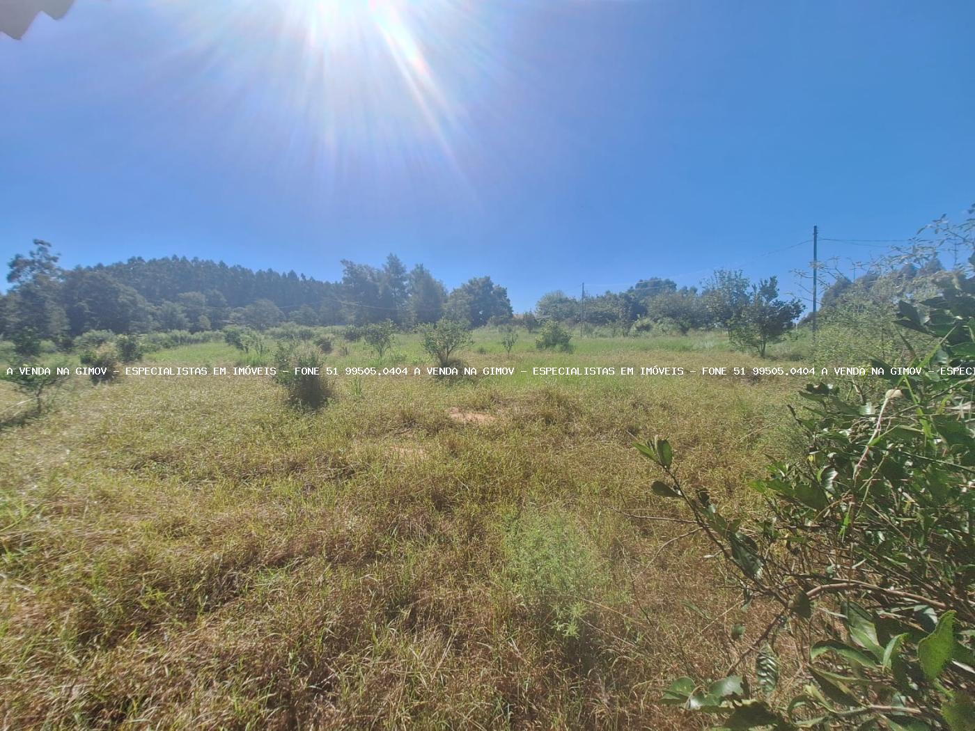 Sítio, 3 quartos, 4 hectares - Foto 28