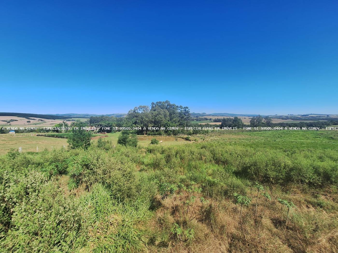 Sítio, 3 quartos, 4 hectares - Foto 26