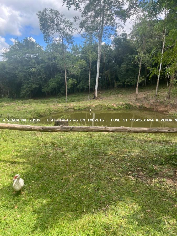 Sítio, 3 hectares - Foto 6