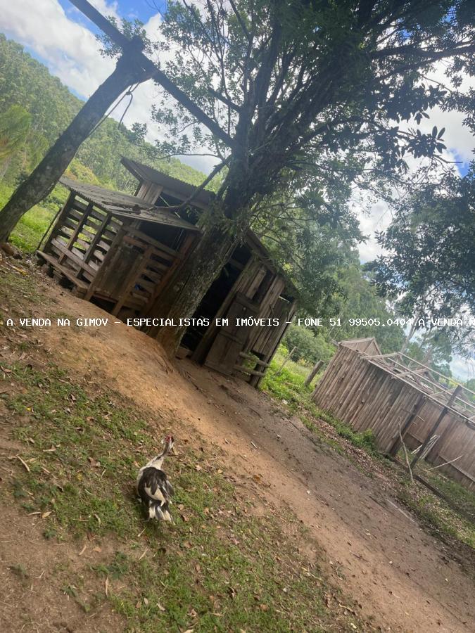 Sítio, 3 hectares - Foto 7