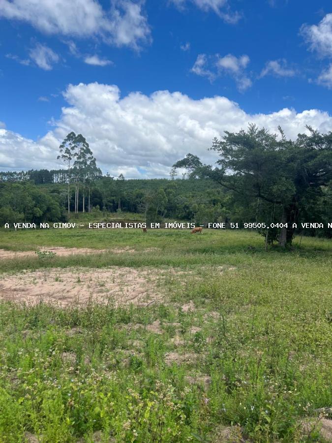 Sítio, 3 hectares - Foto 8