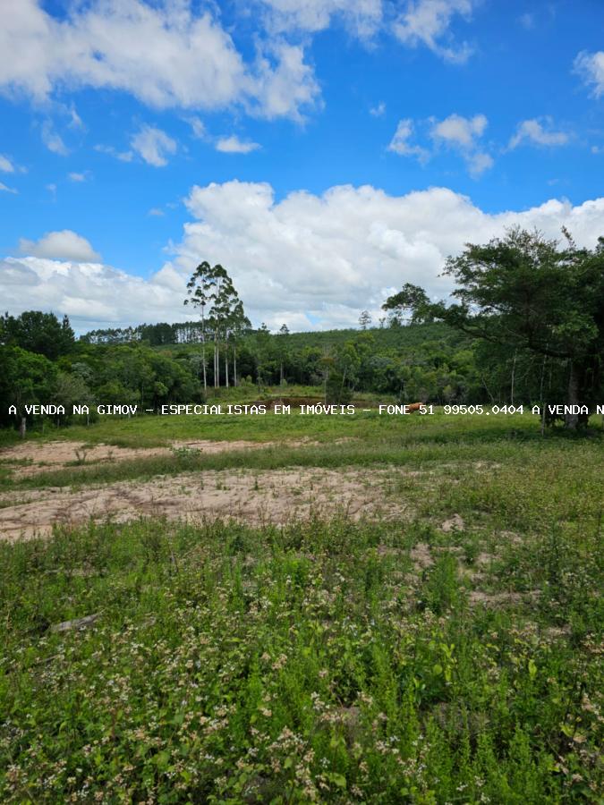 Sítio, 3 hectares - Foto 10