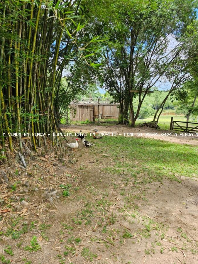 Sítio, 3 hectares - Foto 11