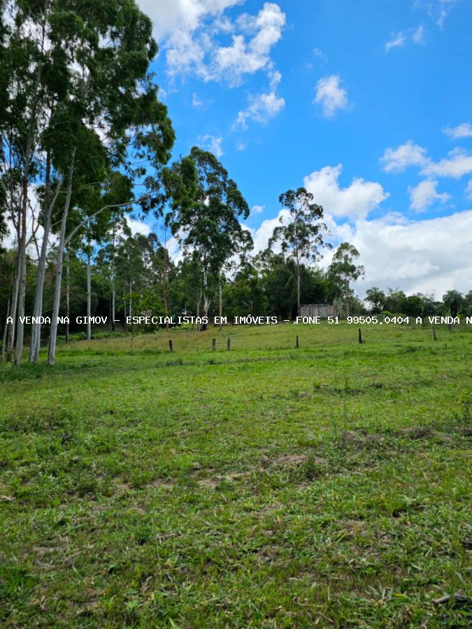 Sítio, 3 hectares - Foto 13