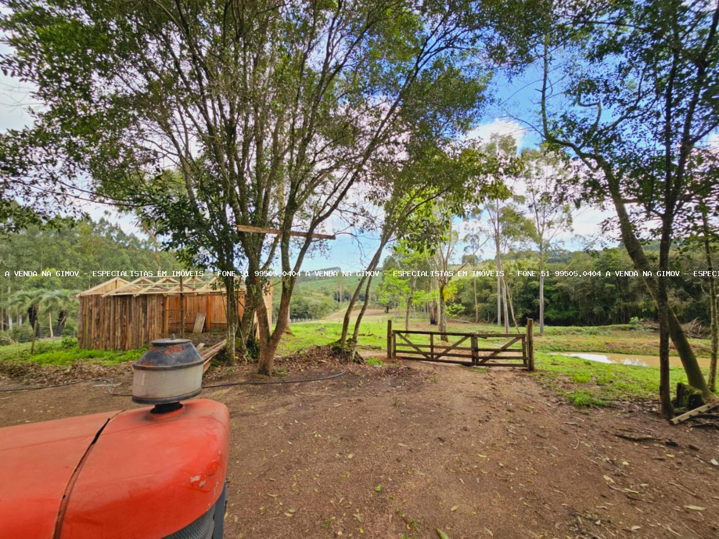 Sítio, 3 hectares - Foto 16