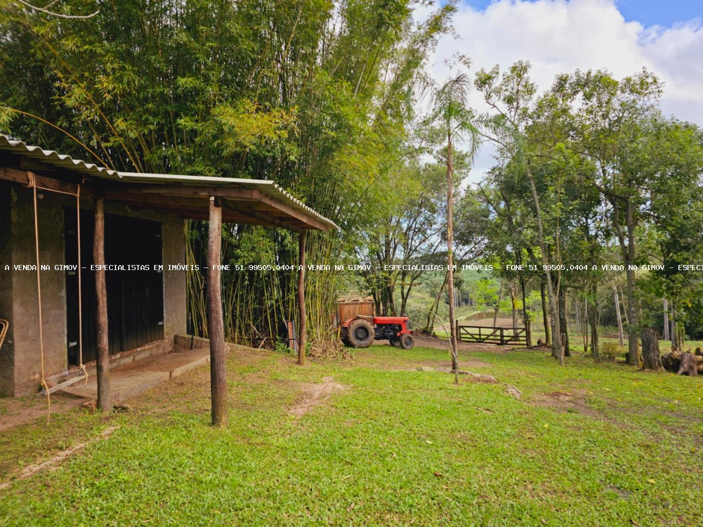 Sítio, 3 hectares - Foto 3