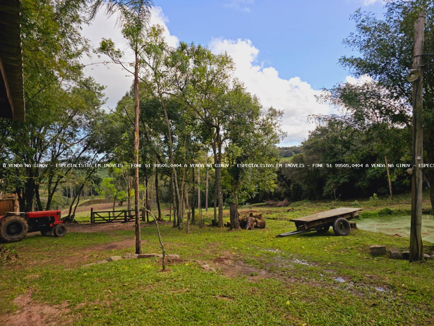 Sítio, 3 hectares - Foto 17