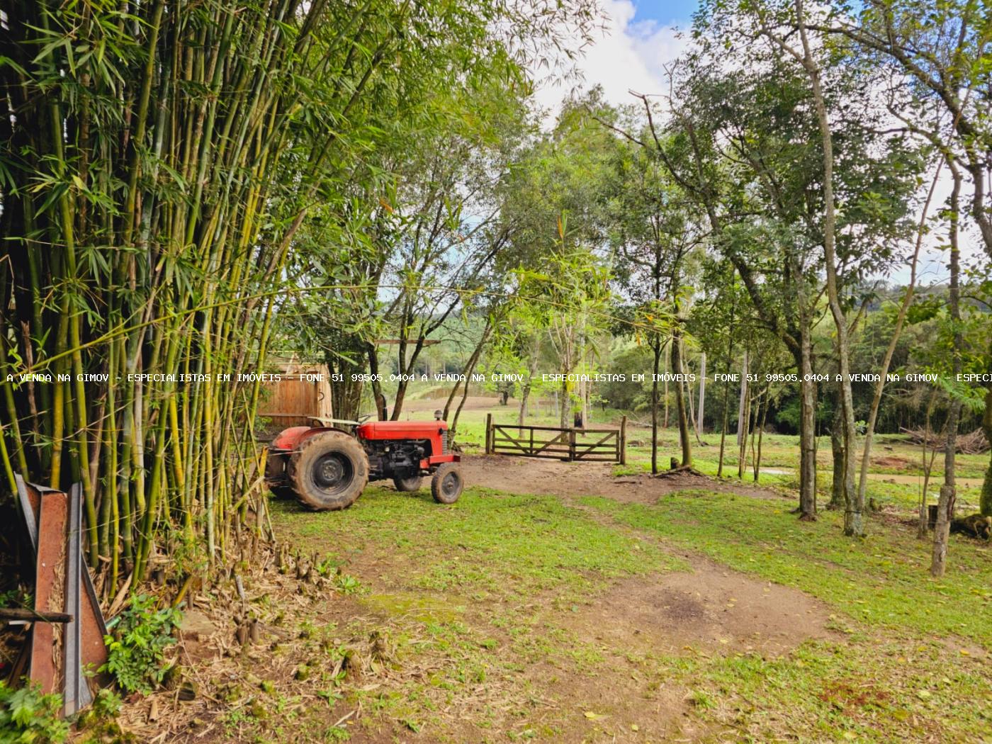 Sítio, 3 hectares - Foto 15