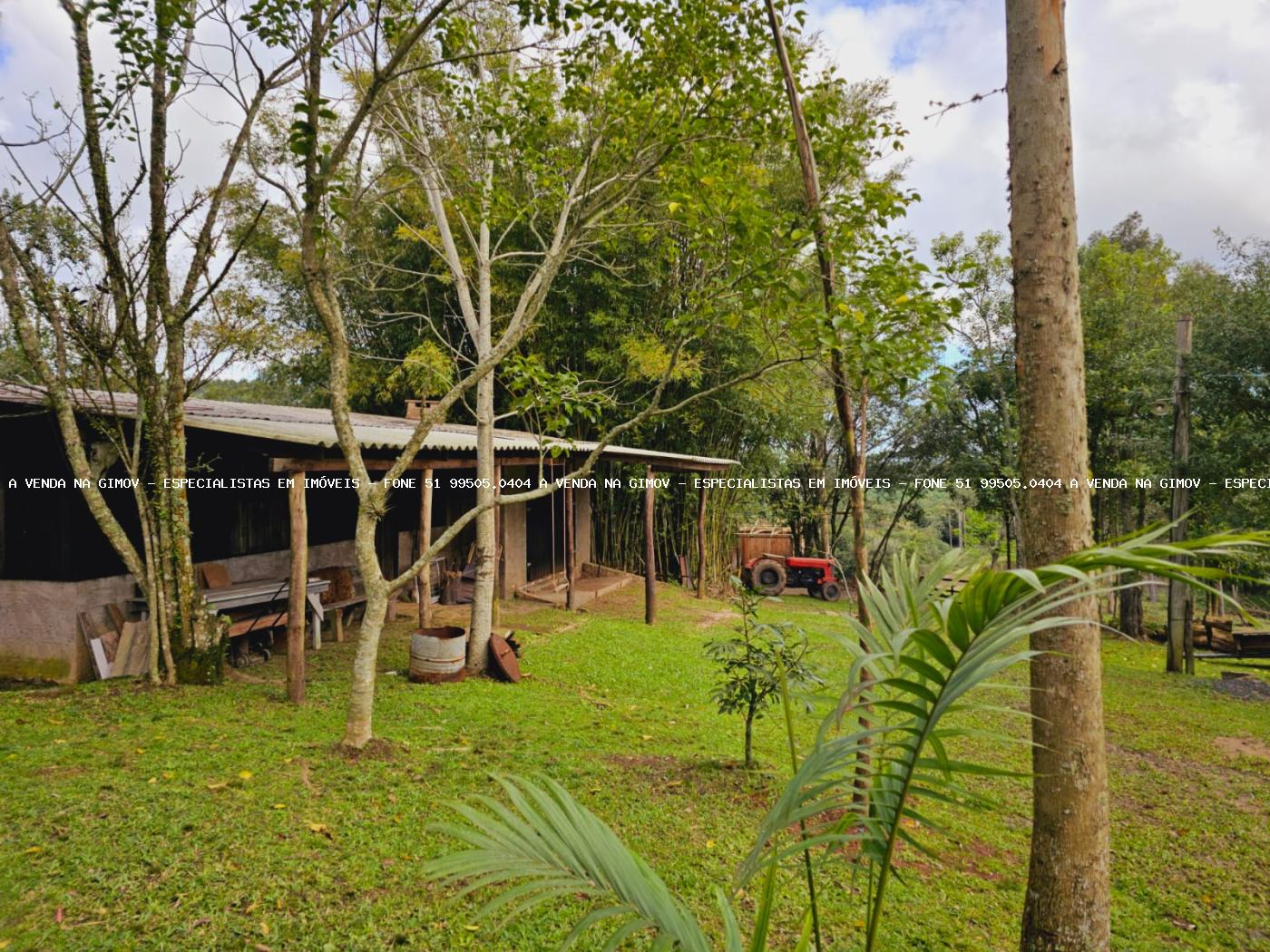 Sítio, 3 hectares - Foto 4