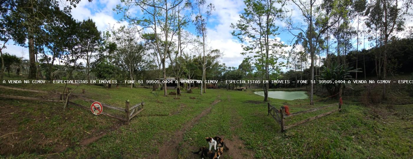 Sítio, 3 hectares - Foto 18