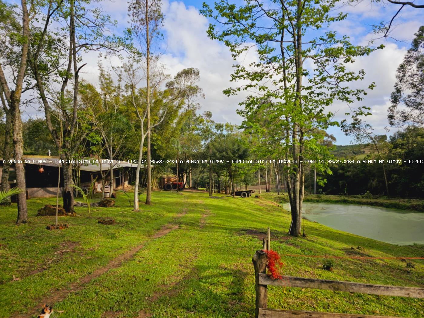 Sítio, 3 hectares - Foto 19