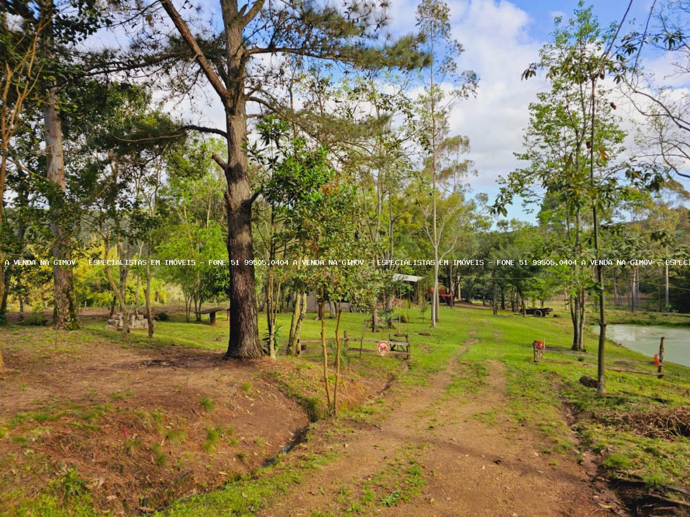 Sítio, 3 hectares - Foto 20