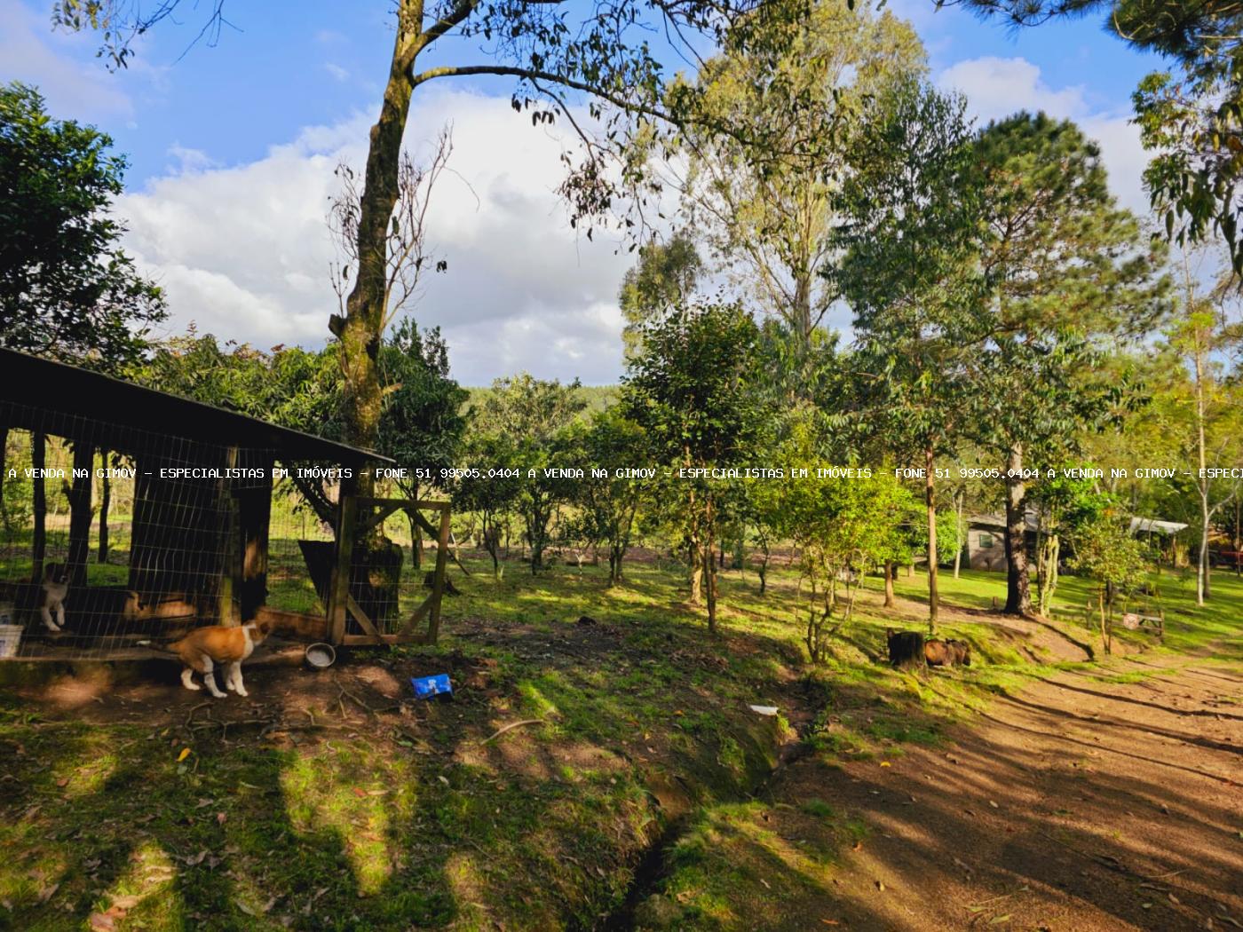 Sítio, 3 hectares - Foto 21