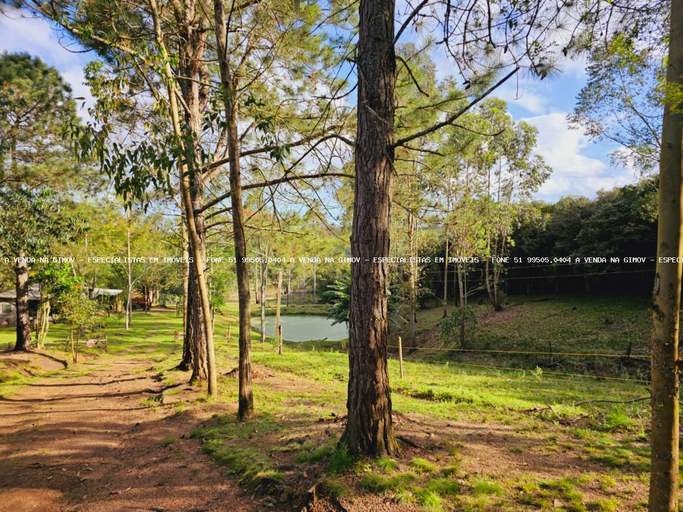 Sítio, 3 hectares - Foto 22