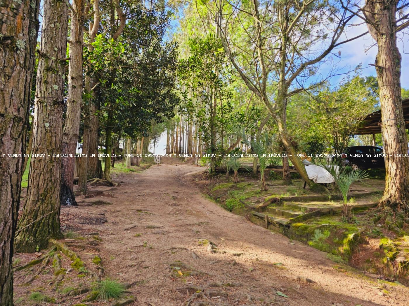 Sítio, 3 hectares - Foto 23