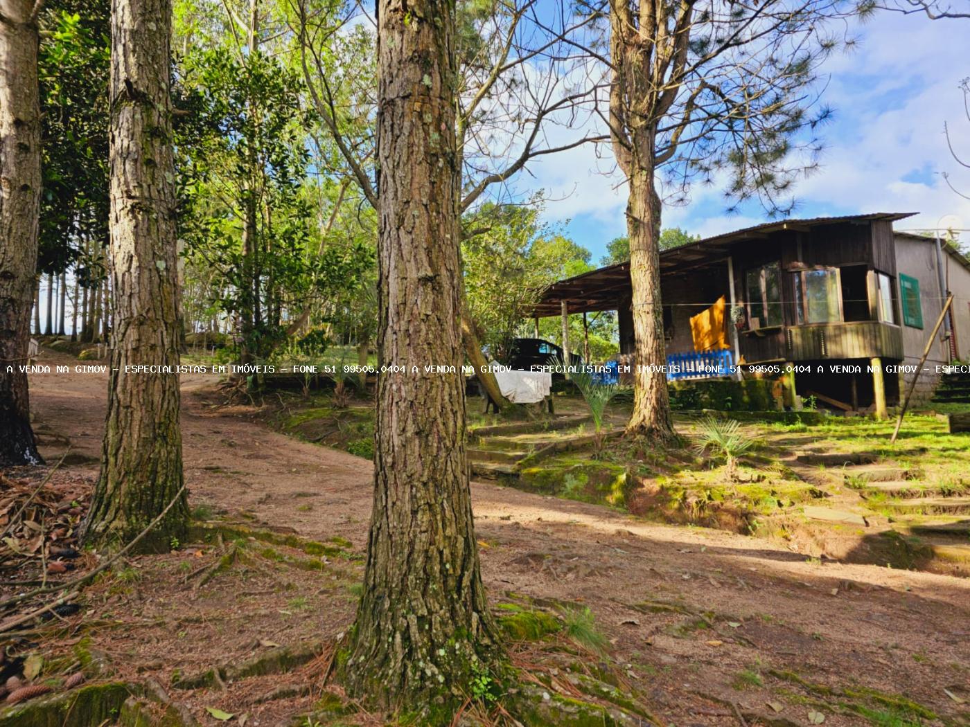 Sítio, 3 hectares - Foto 2