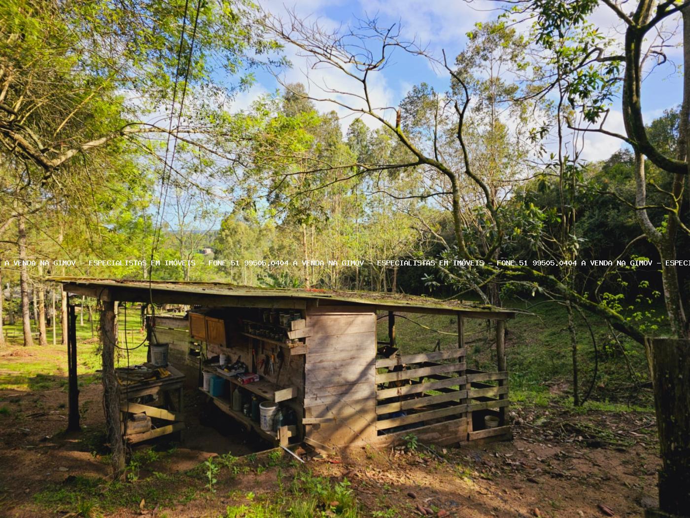 Sítio, 3 hectares - Foto 24