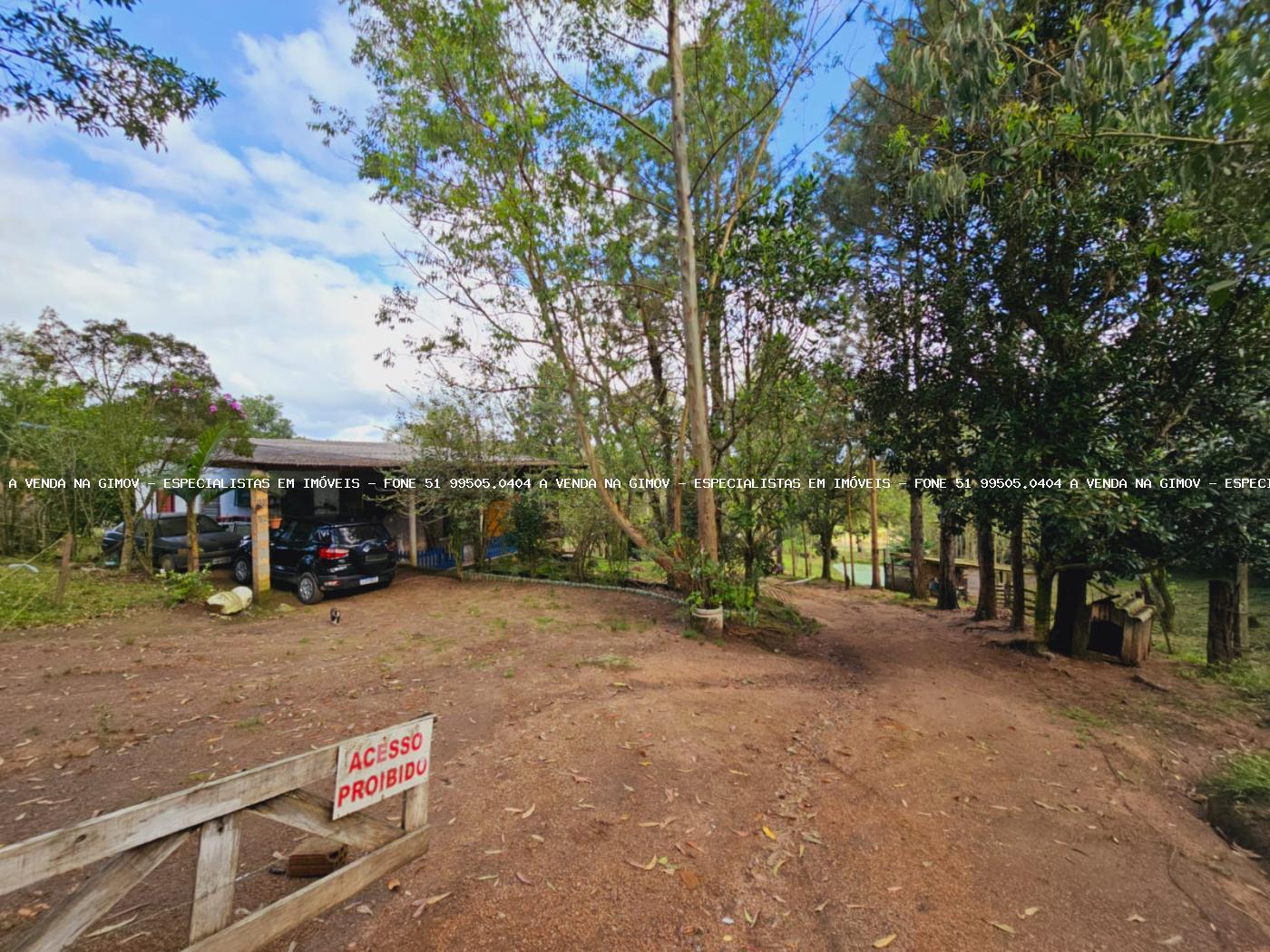 Sítio, 3 hectares - Foto 5