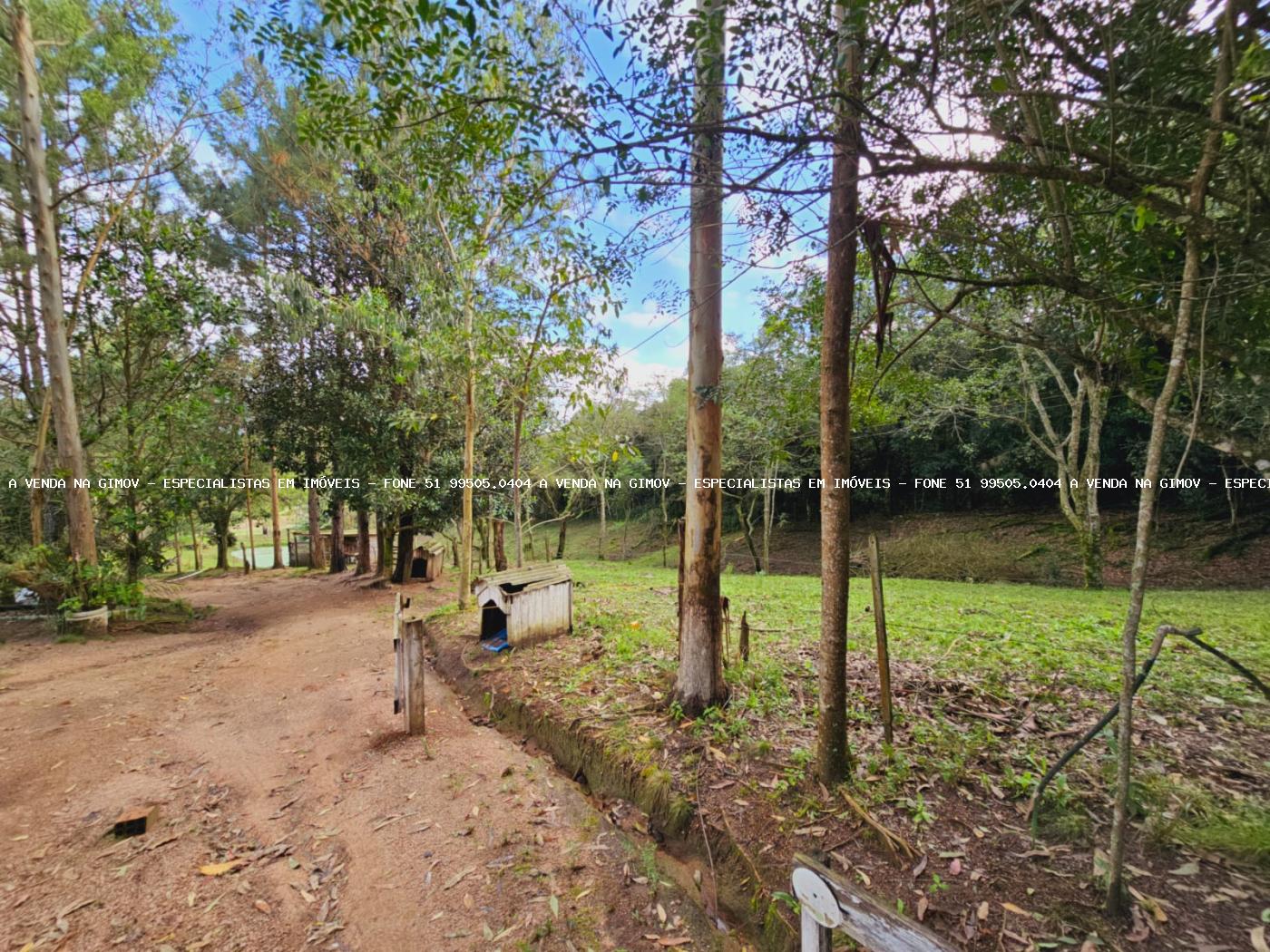 Sítio, 3 hectares - Foto 25