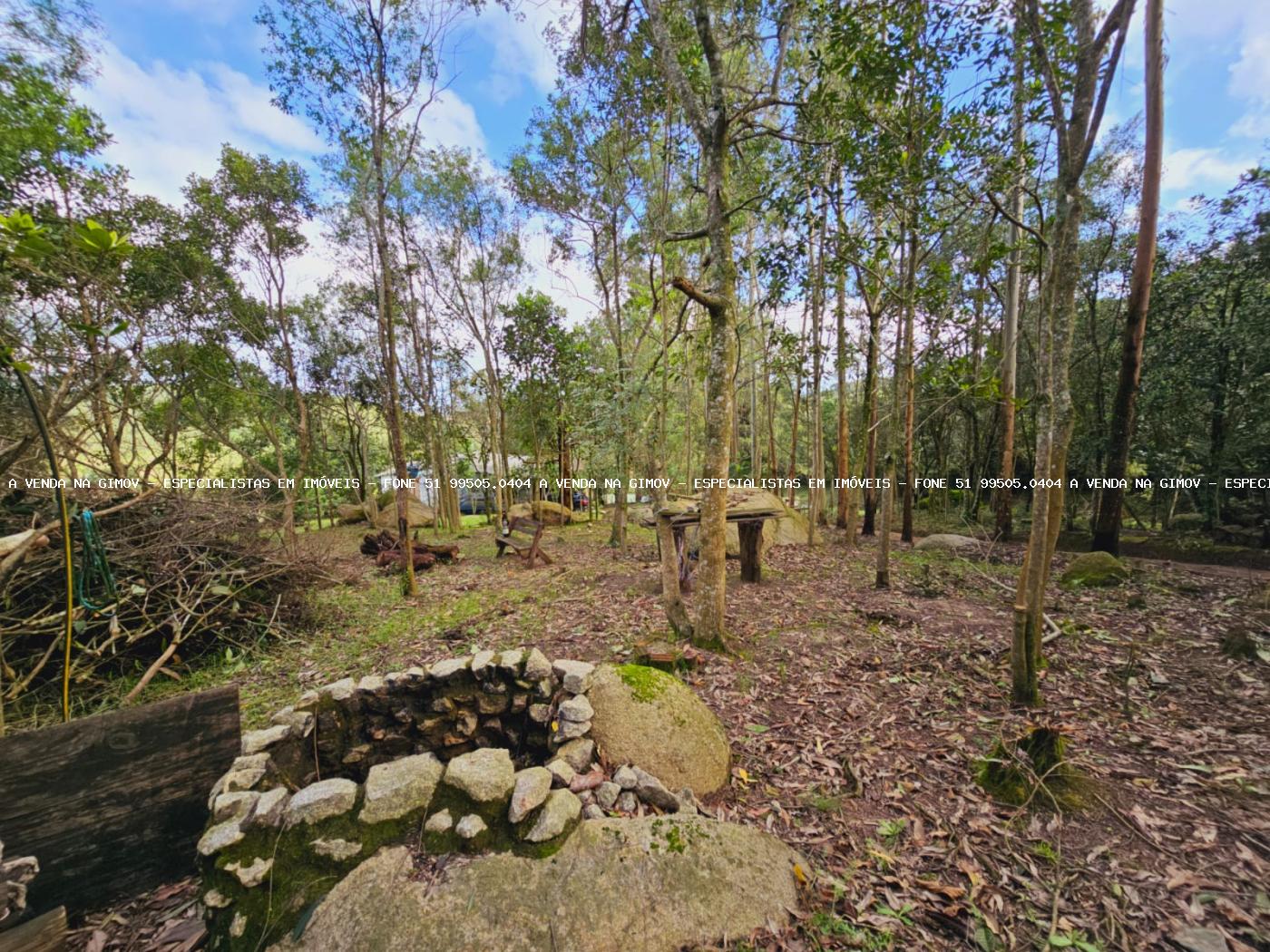 Sítio, 3 hectares - Foto 26