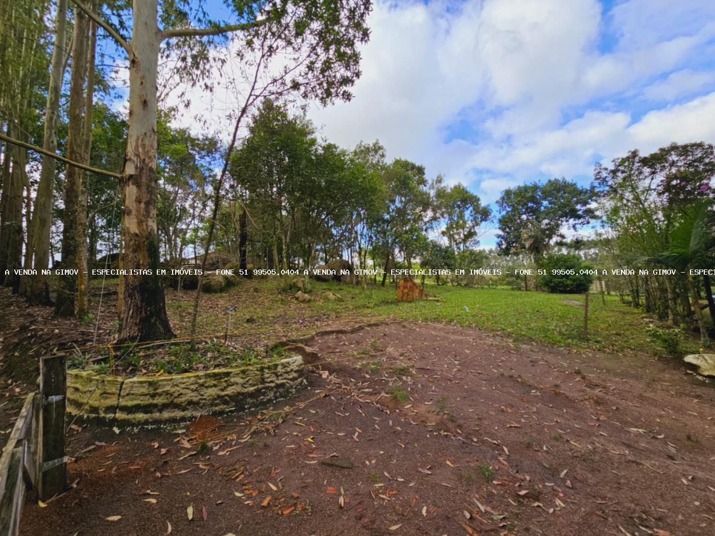 Sítio, 3 hectares - Foto 27