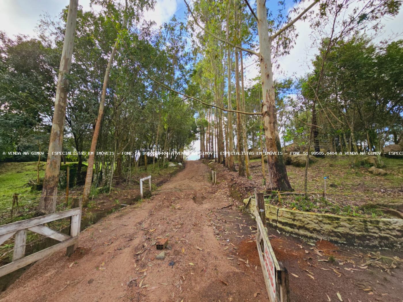 Sítio, 3 hectares - Foto 29