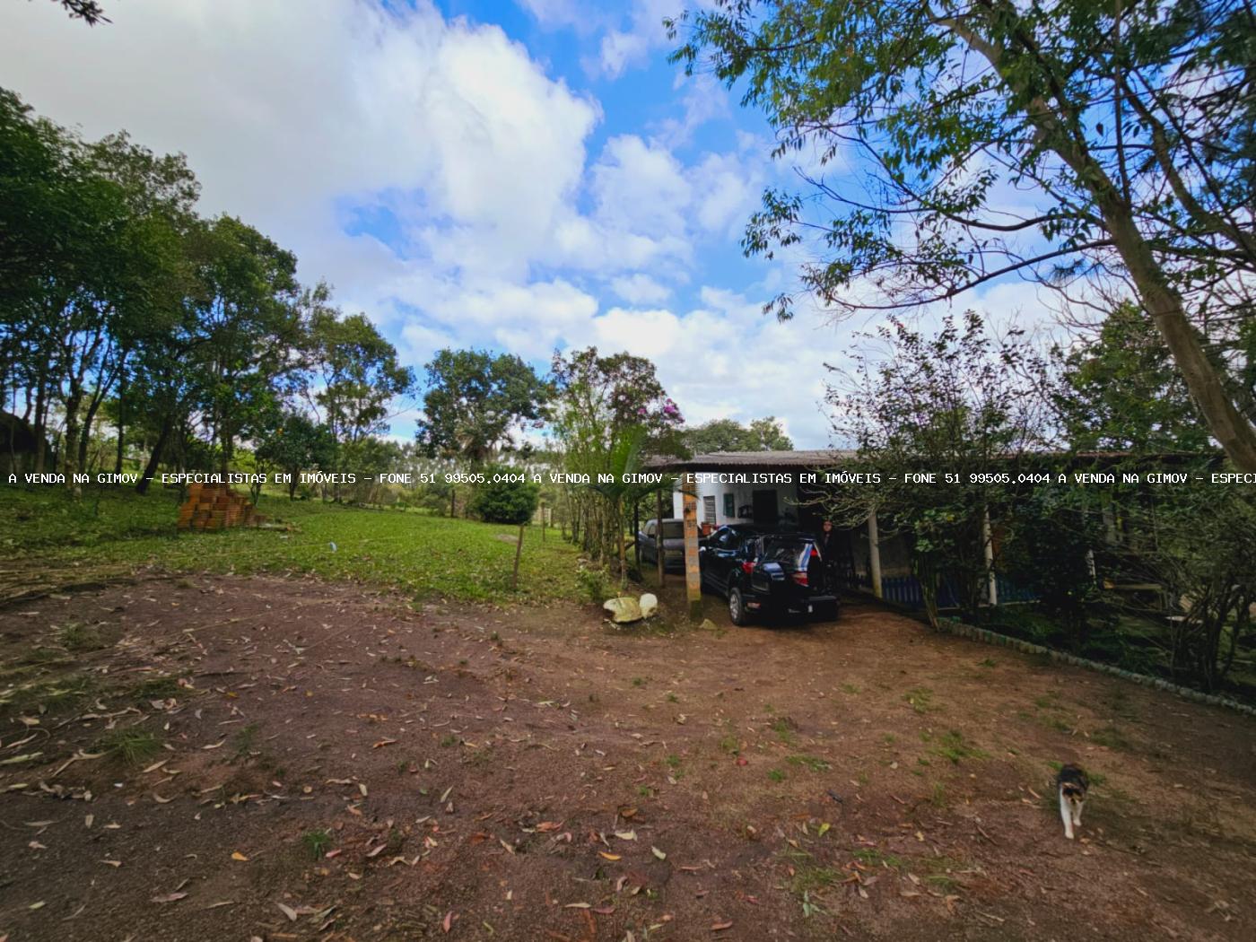 Sítio, 3 hectares - Foto 28