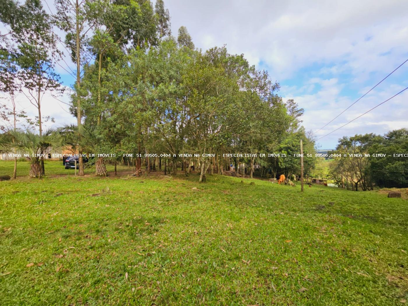 Sítio, 3 hectares - Foto 33