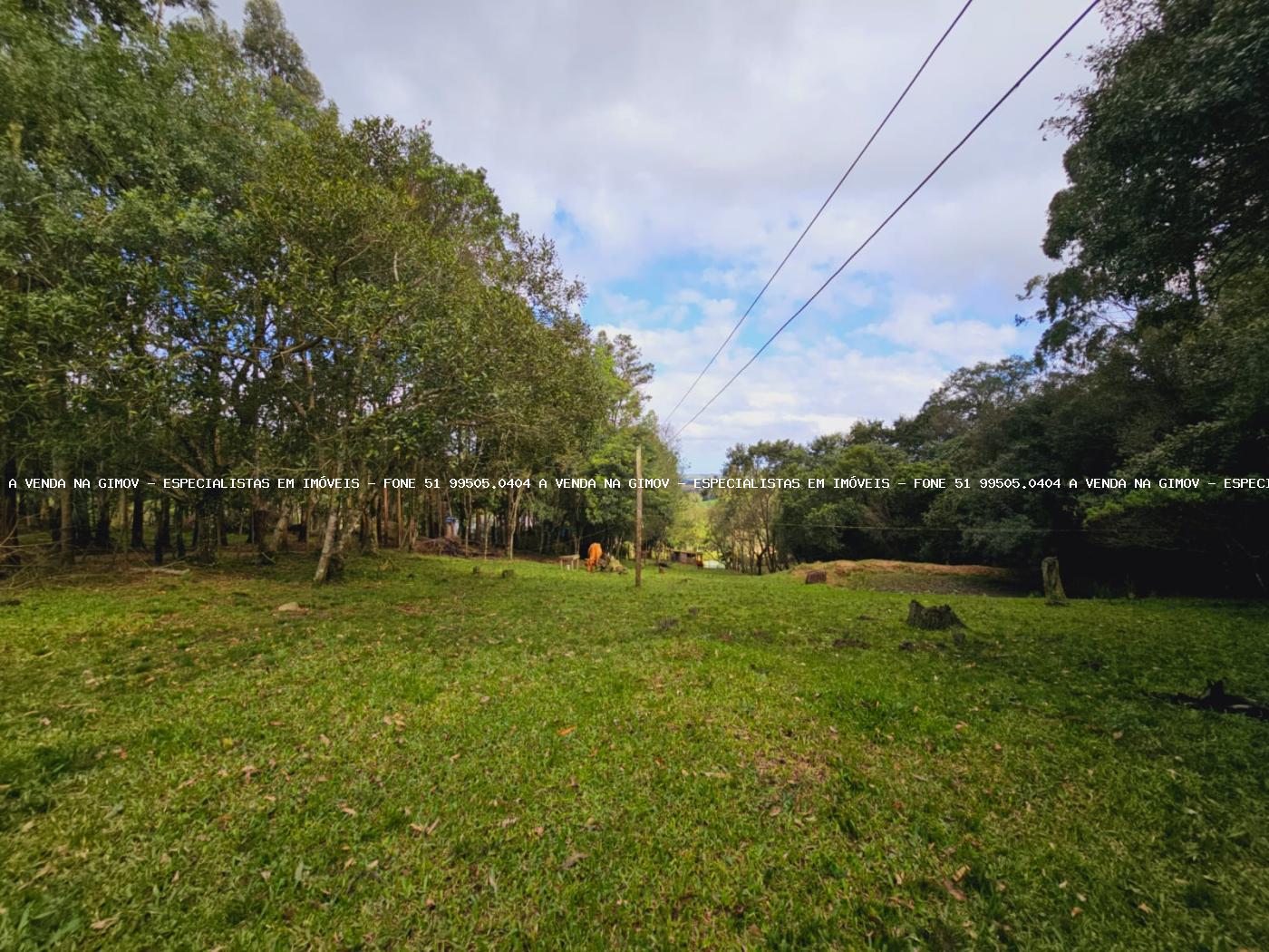 Sítio, 3 hectares - Foto 34