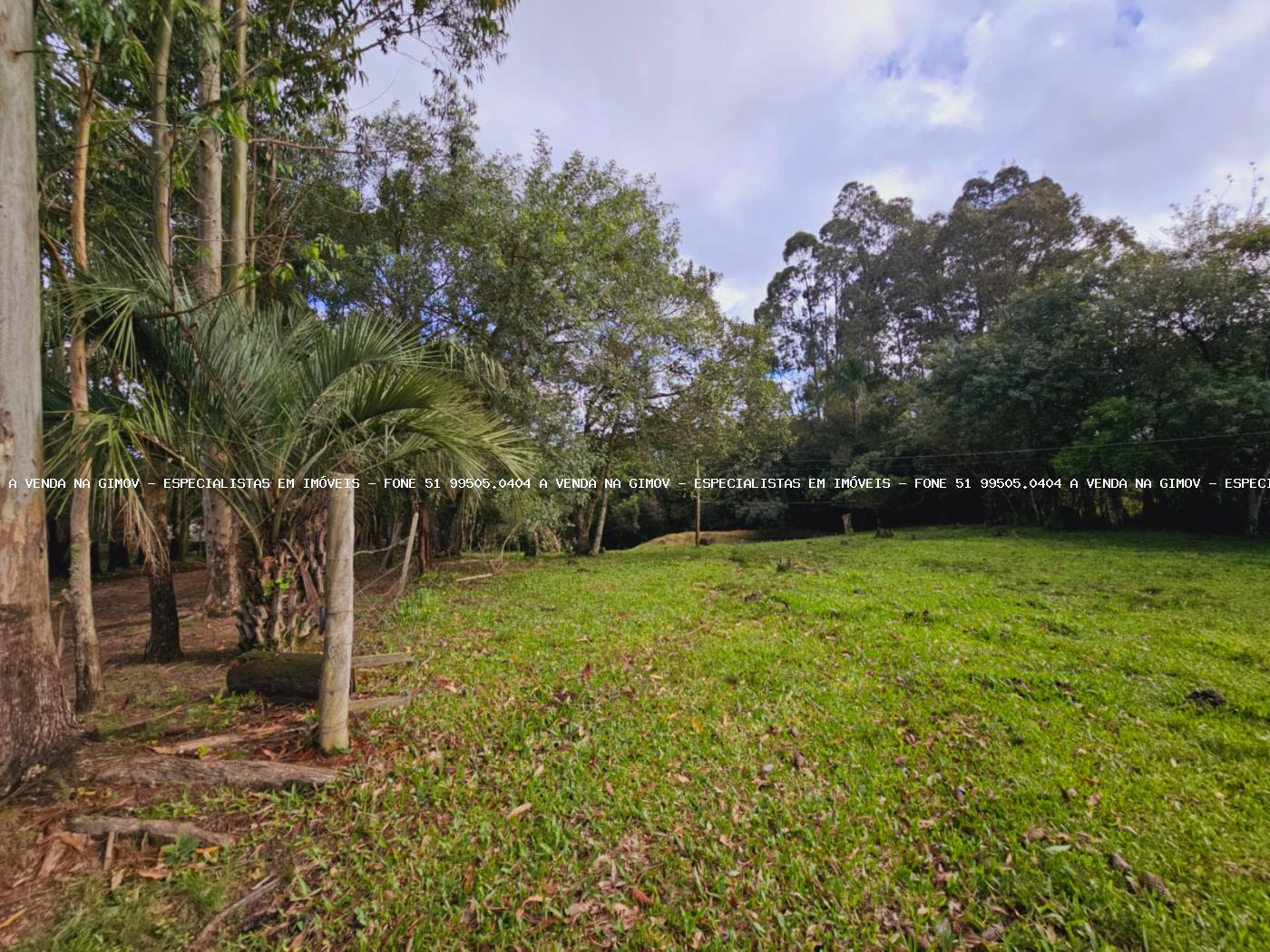 Sítio, 3 hectares - Foto 36