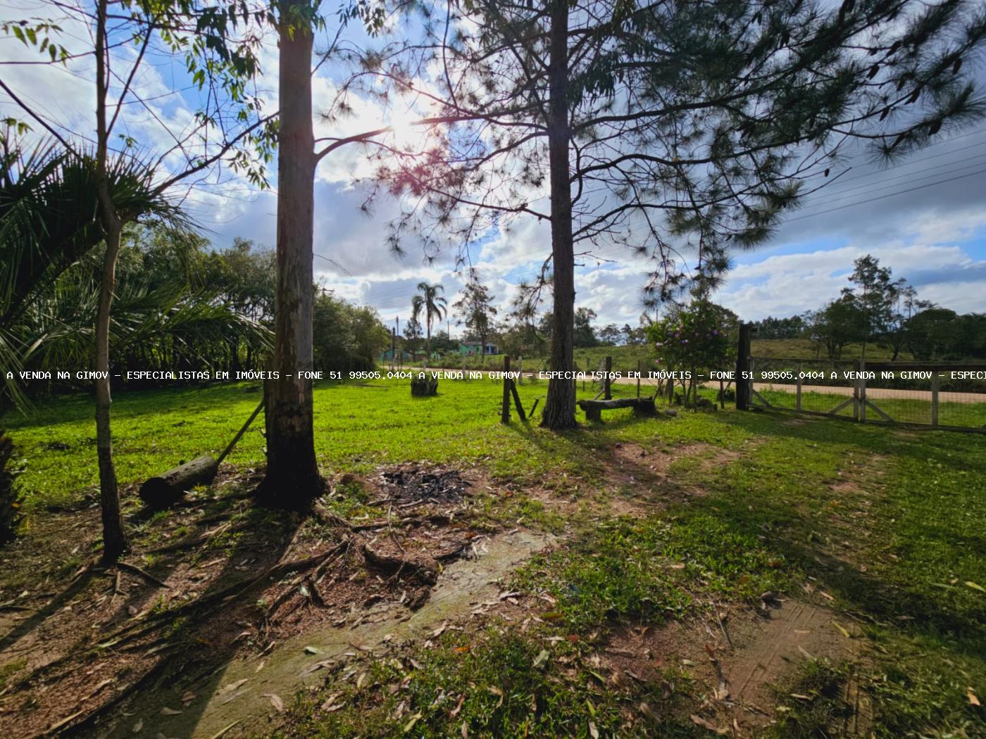 Sítio, 3 hectares - Foto 37