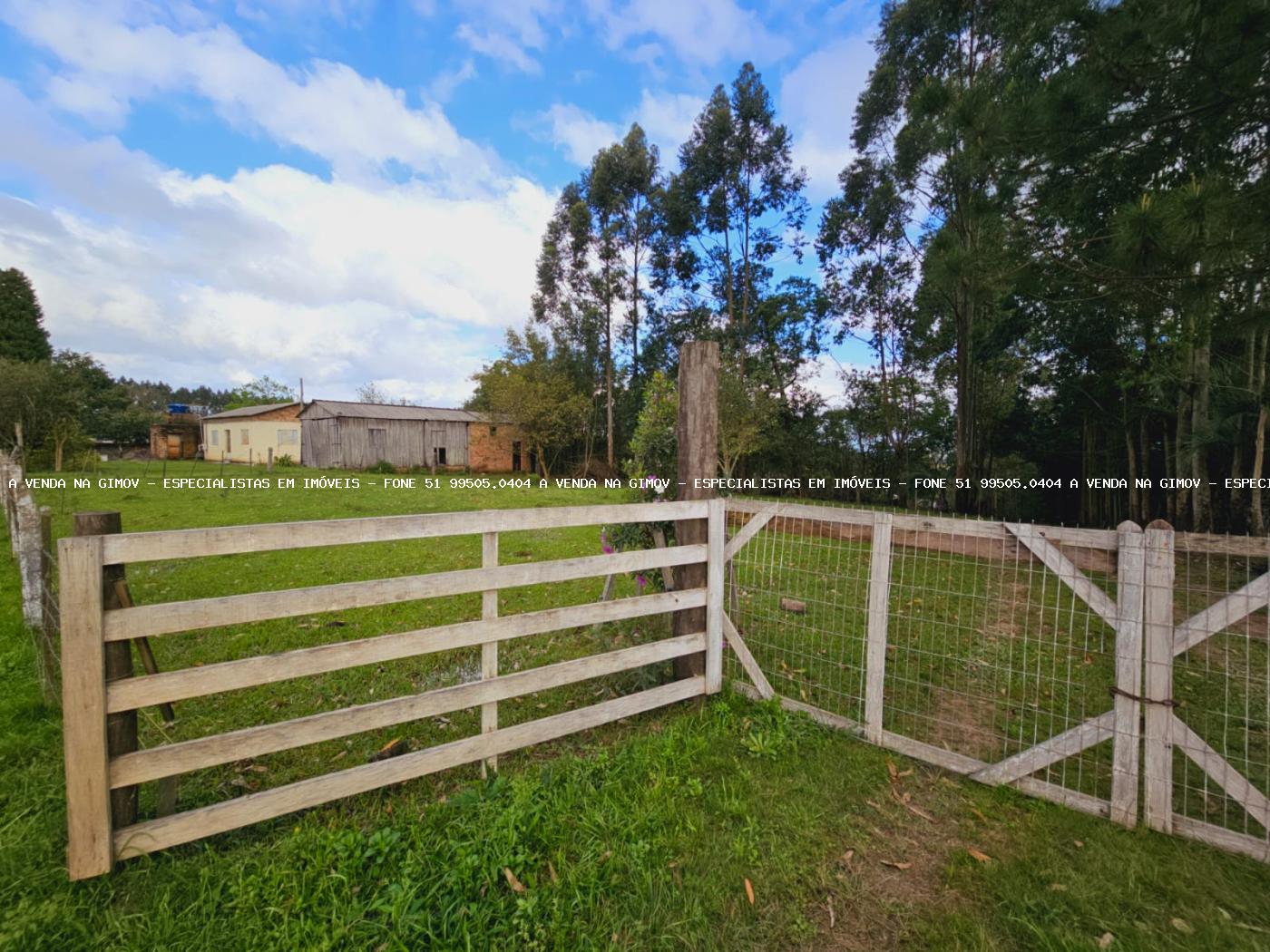 Sítio, 3 hectares - Foto 39