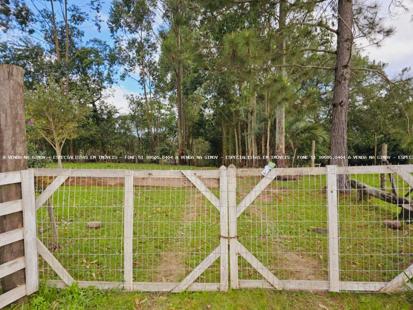 Sítio, 3 hectares - Foto 38