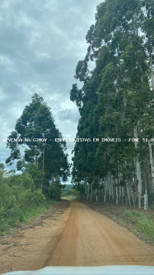 Sítio, 3 quartos, 4 hectares - Foto 30