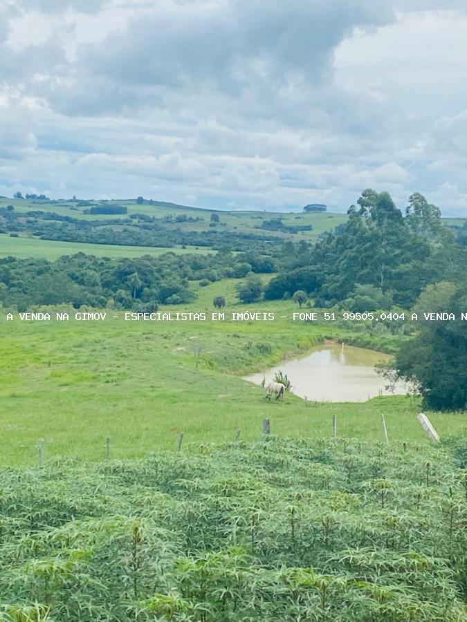 Sítio, 3 quartos, 4 hectares - Foto 29