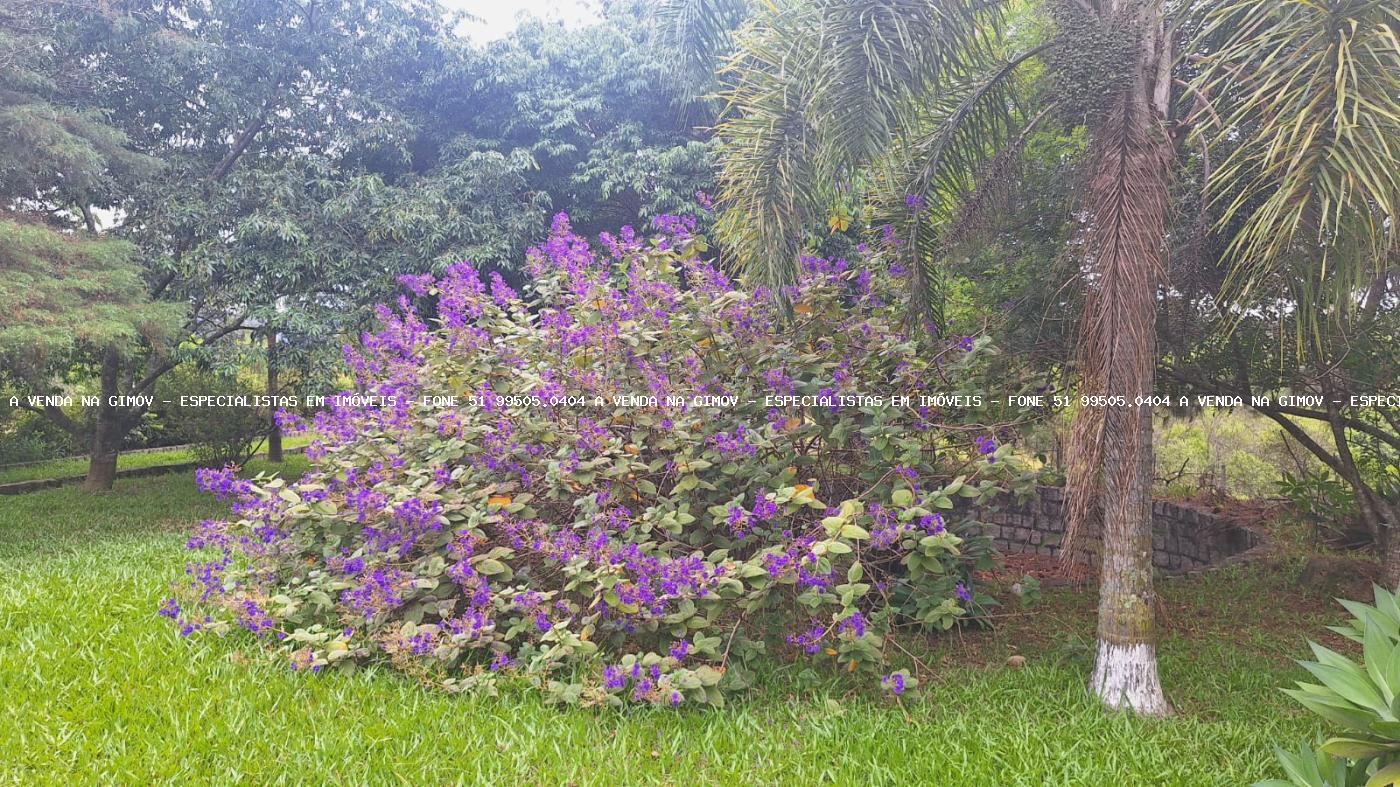 Fazenda, 5 hectares - Foto 24