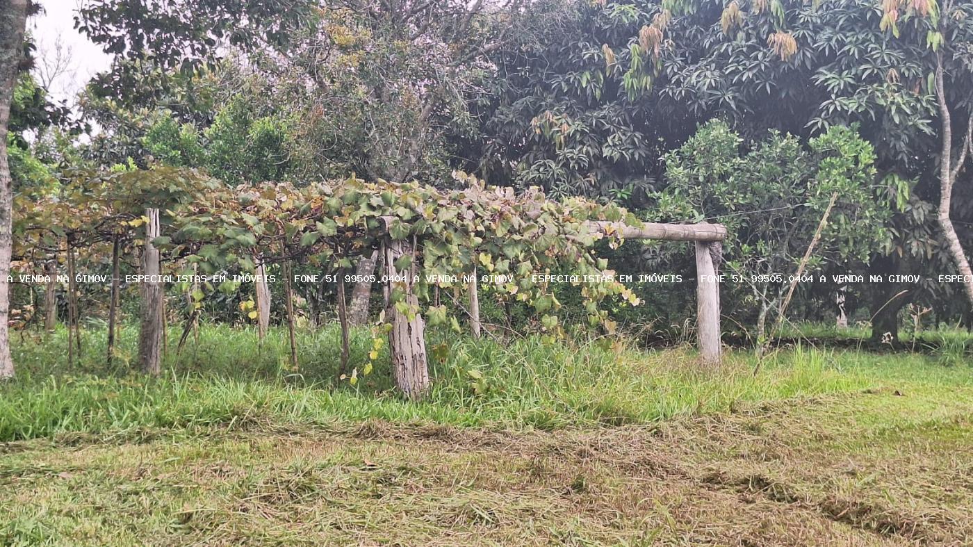 Fazenda, 5 hectares - Foto 33