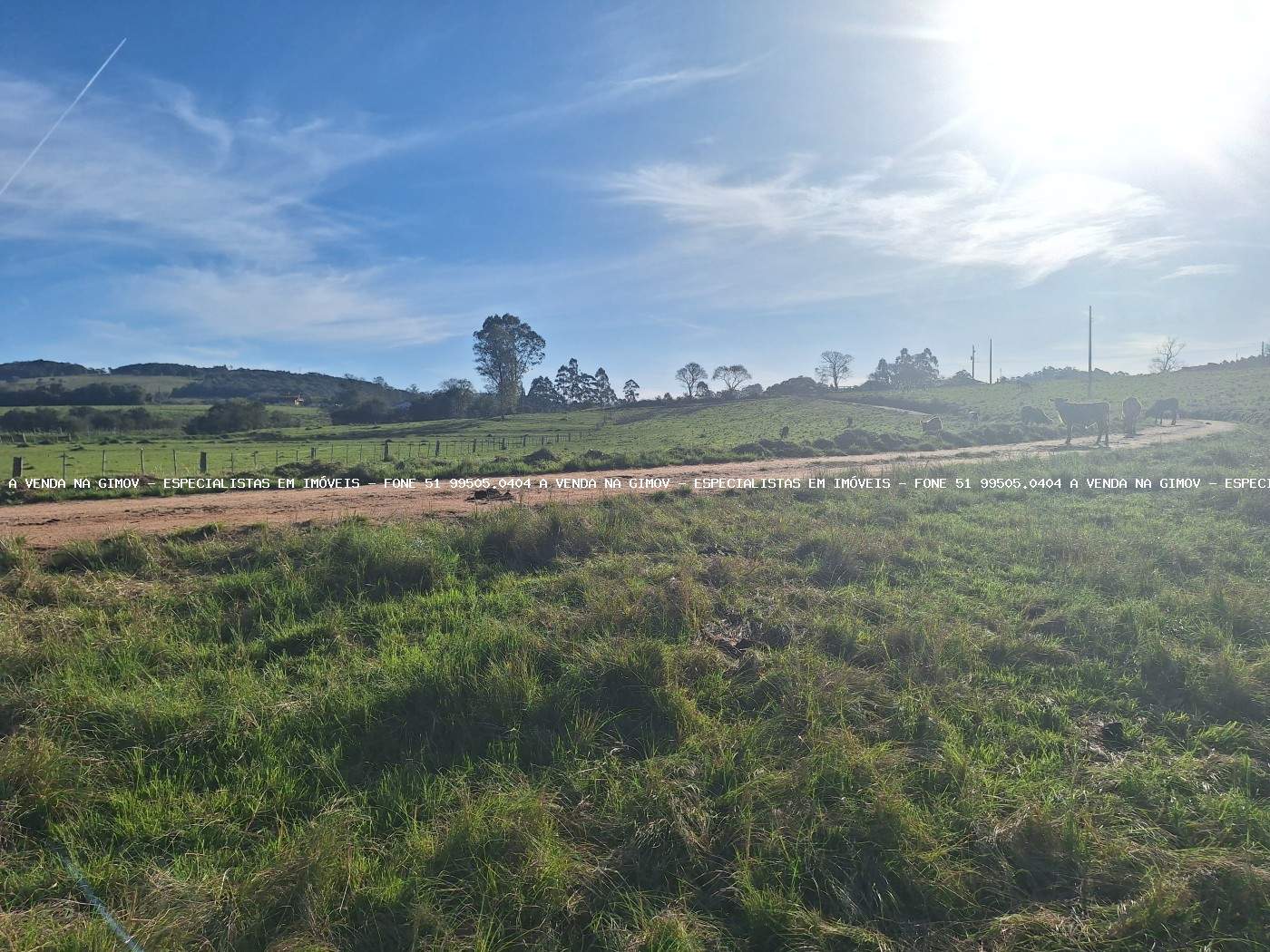 Loteamento e Condomínio, 3 hectares - Foto 2