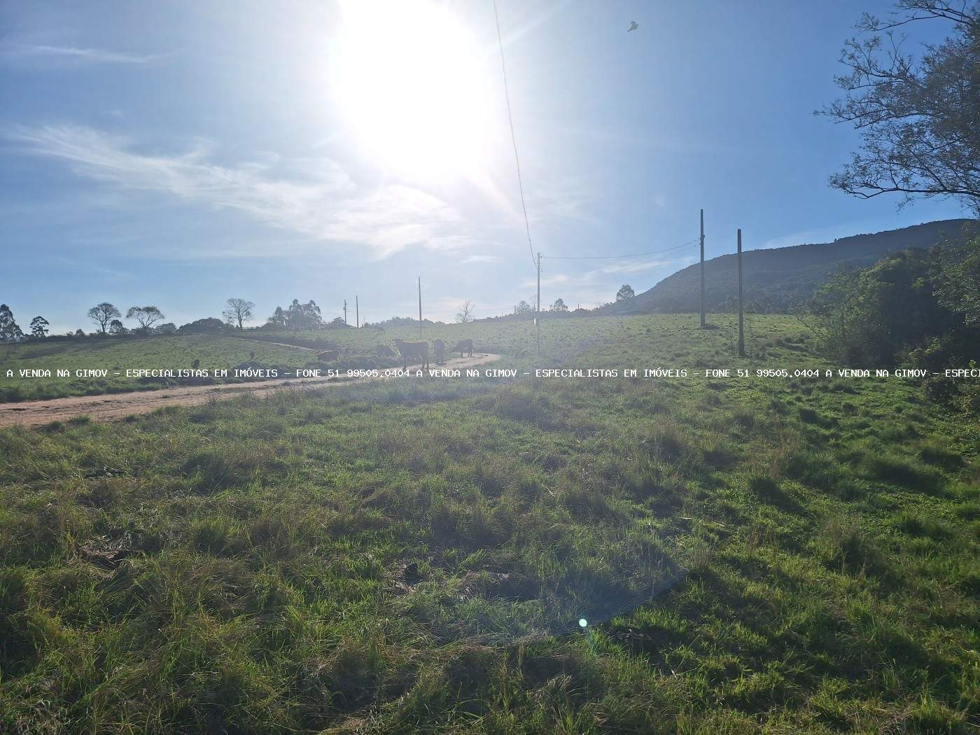 Loteamento e Condomínio, 3 hectares - Foto 3