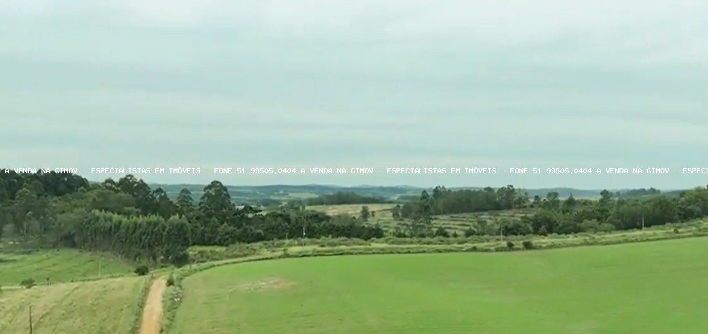 Fazenda, 63 hectares - Foto 2