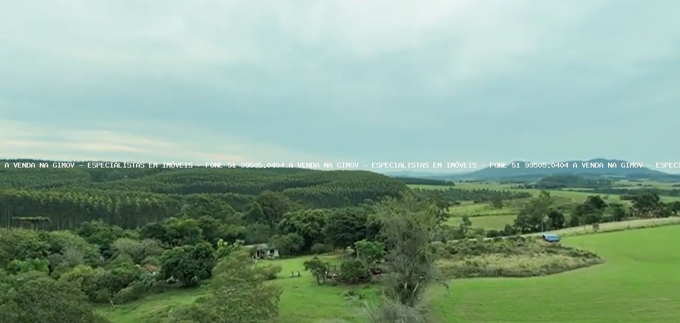 Fazenda, 63 hectares - Foto 4