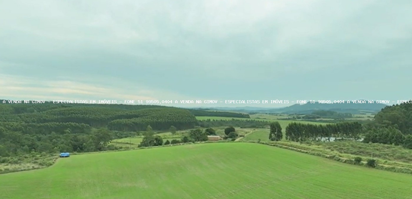 Fazenda, 63 hectares - Foto 5