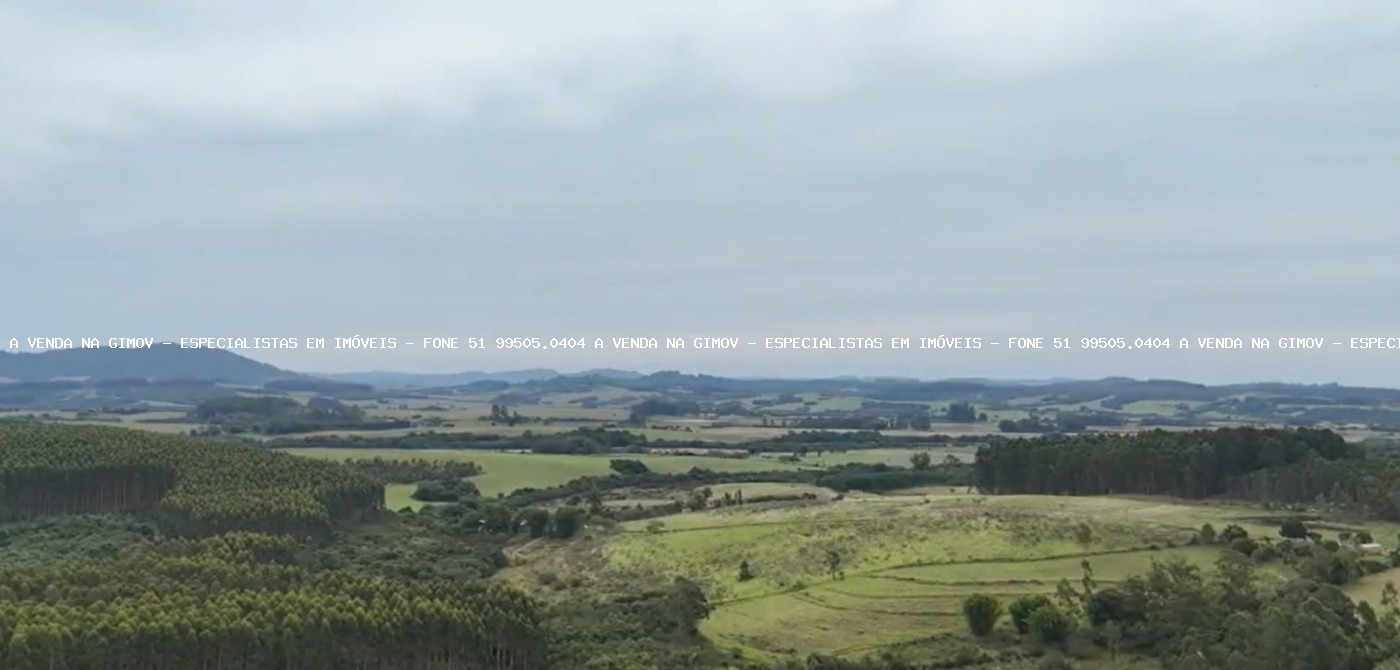 Fazenda, 63 hectares - Foto 8