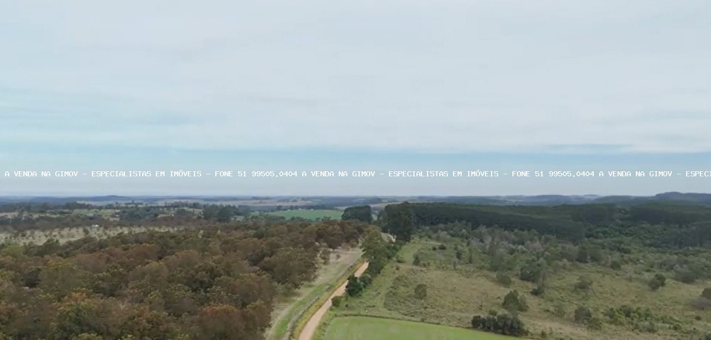 Fazenda, 63 hectares - Foto 10