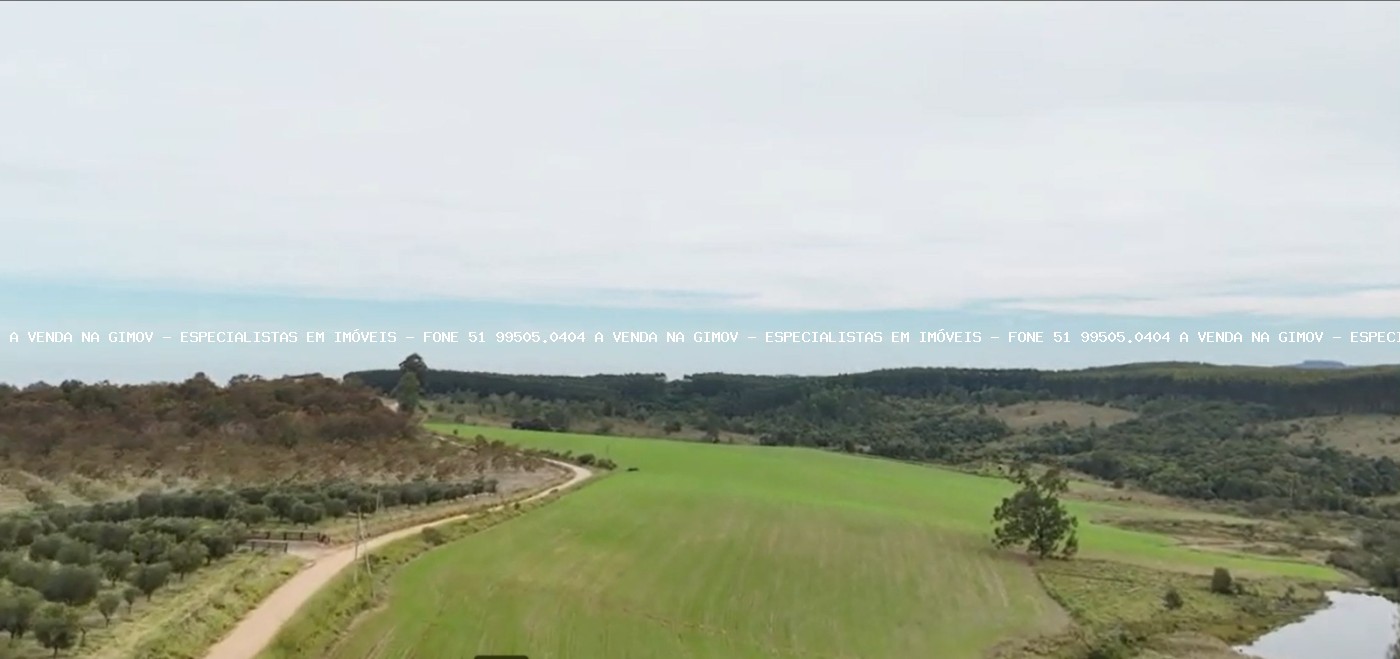 Fazenda, 63 hectares - Foto 11