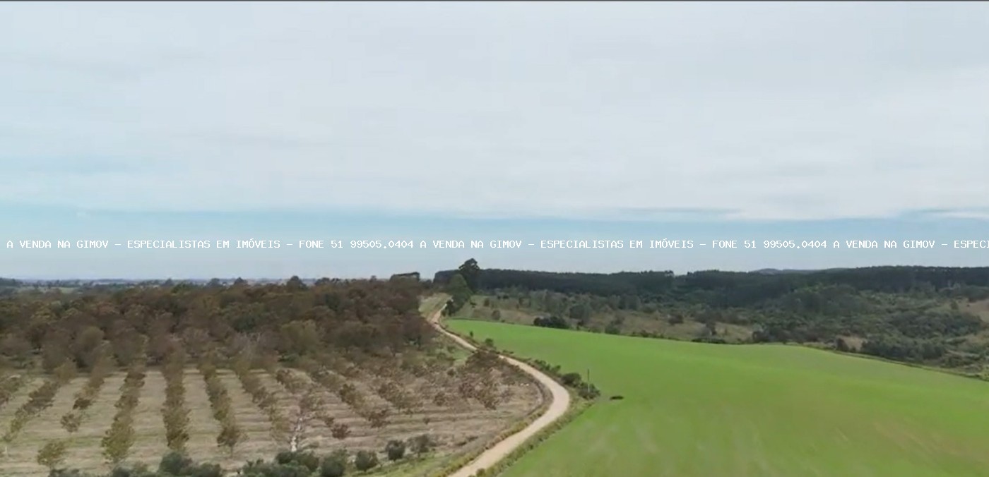 Fazenda, 63 hectares - Foto 1